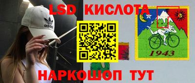 a pvp Славгород