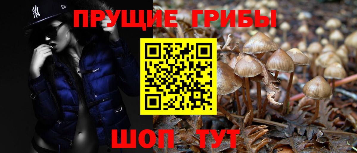 Галлюциногенные грибы MAGIC MUSHROOMS  Вход с VPN  Похвистнево 